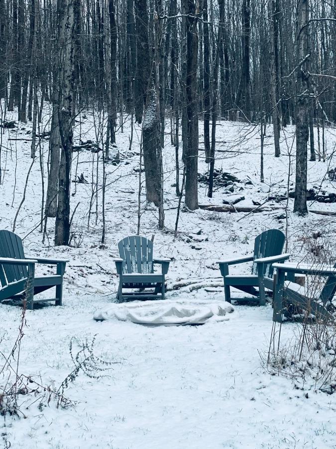 Cozy Cottage With Jacuzzi And Fire Pit And Reading Nook! Livingston Manor Экстерьер фото