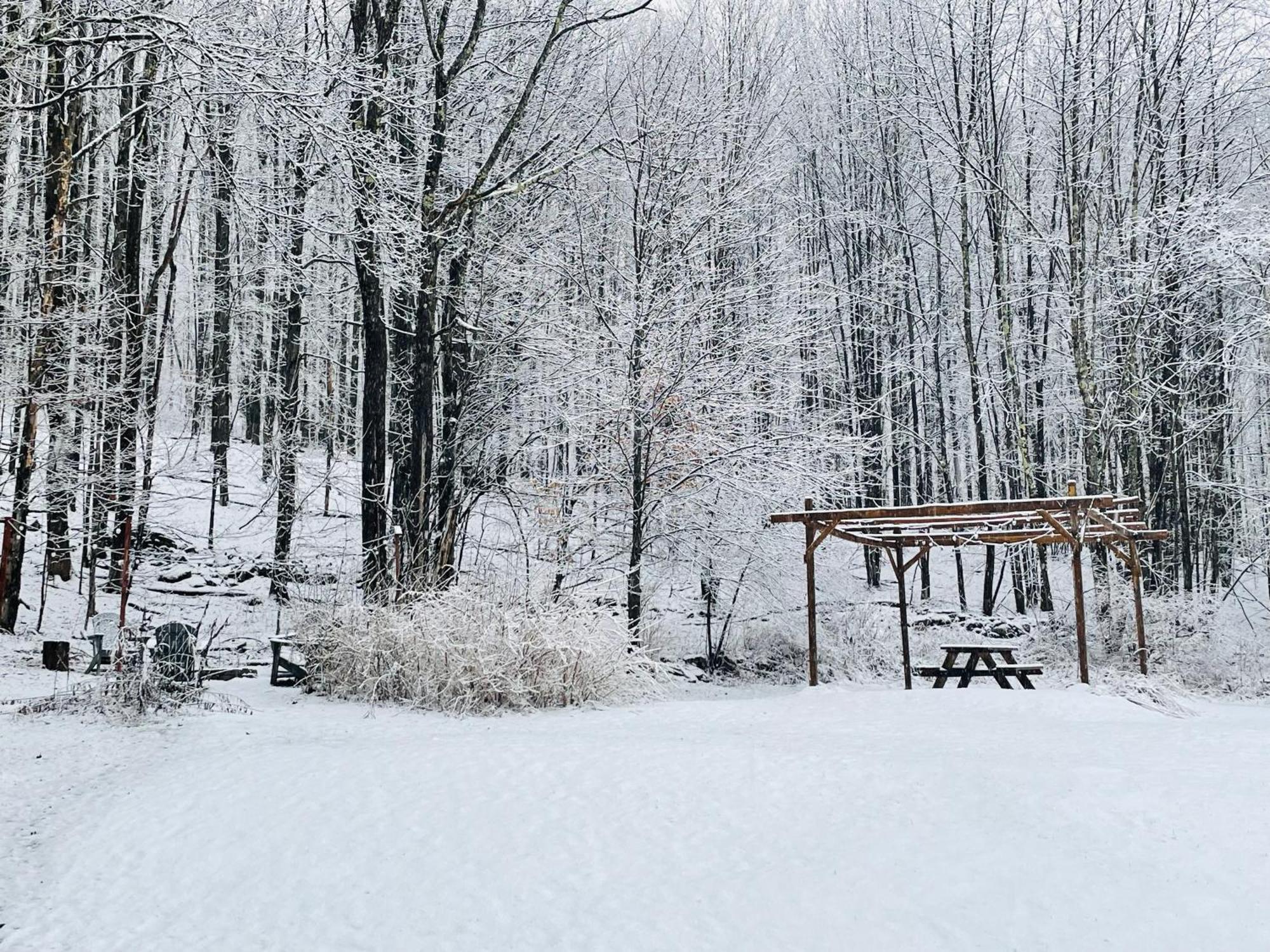 Cozy Cottage With Jacuzzi And Fire Pit And Reading Nook! Livingston Manor Экстерьер фото