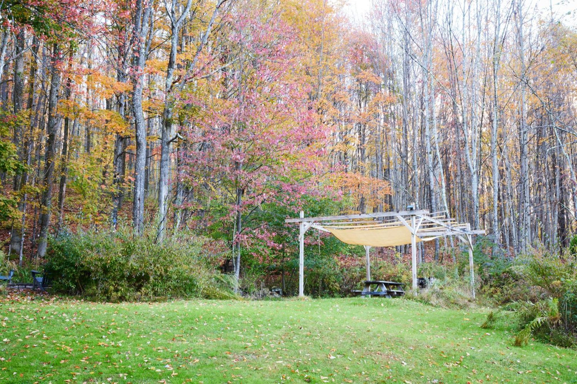 Cozy Cottage With Jacuzzi And Fire Pit And Reading Nook! Livingston Manor Экстерьер фото